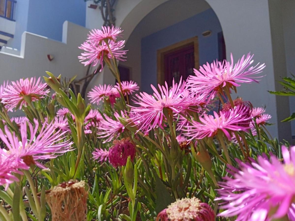 Nefeli Hotel Leros Agia Marina  Ngoại thất bức ảnh
